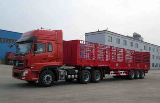 貨運資格證考試面試換輪胎謝謝,要詳細(xì)的