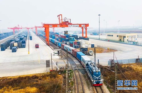 搶運(yùn)年貨 武漢春運(yùn)中歐班列 三連發(fā) 新華湖北